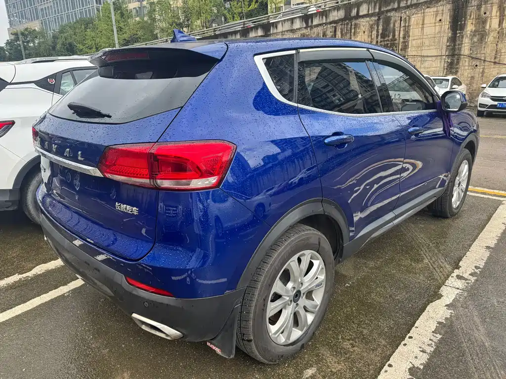 Haval H4 — миниатюра 11