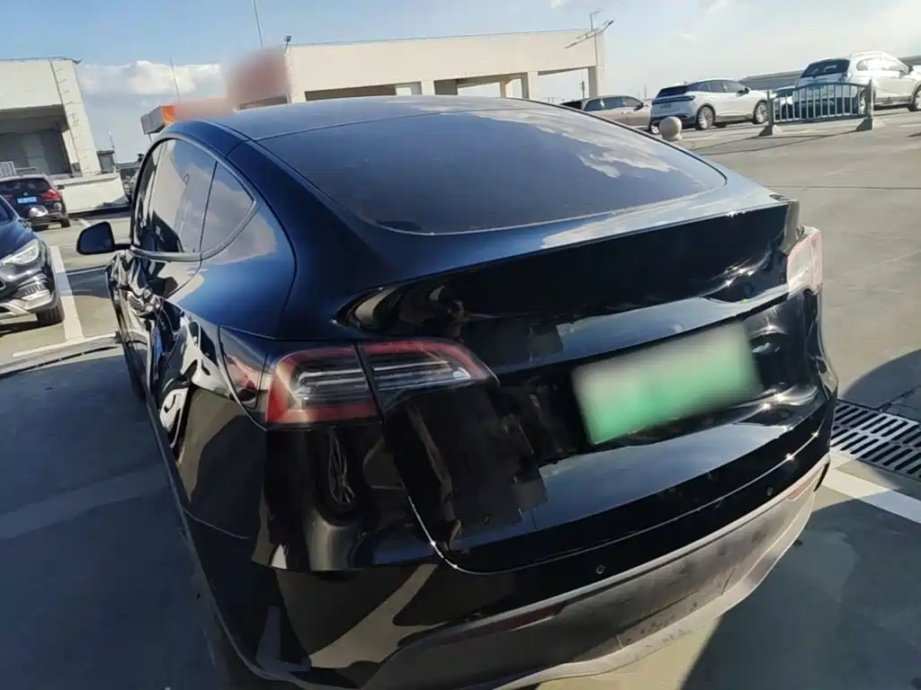Tesla Model Y — миниатюра 5