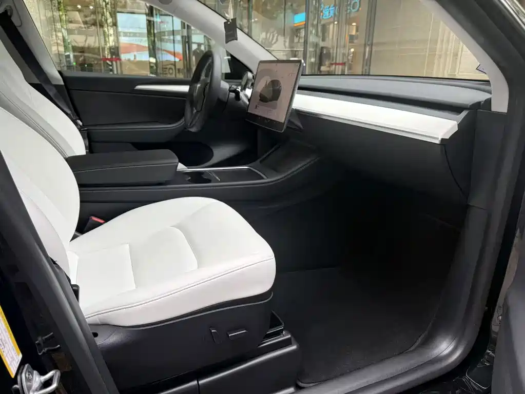 Tesla Model Y — миниатюра 16