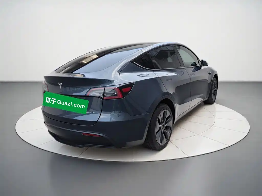 Tesla Model Y — миниатюра 4