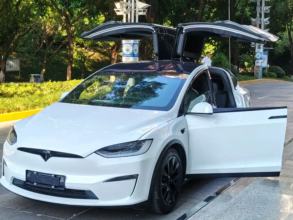 Tesla Model X — миниатюра 2