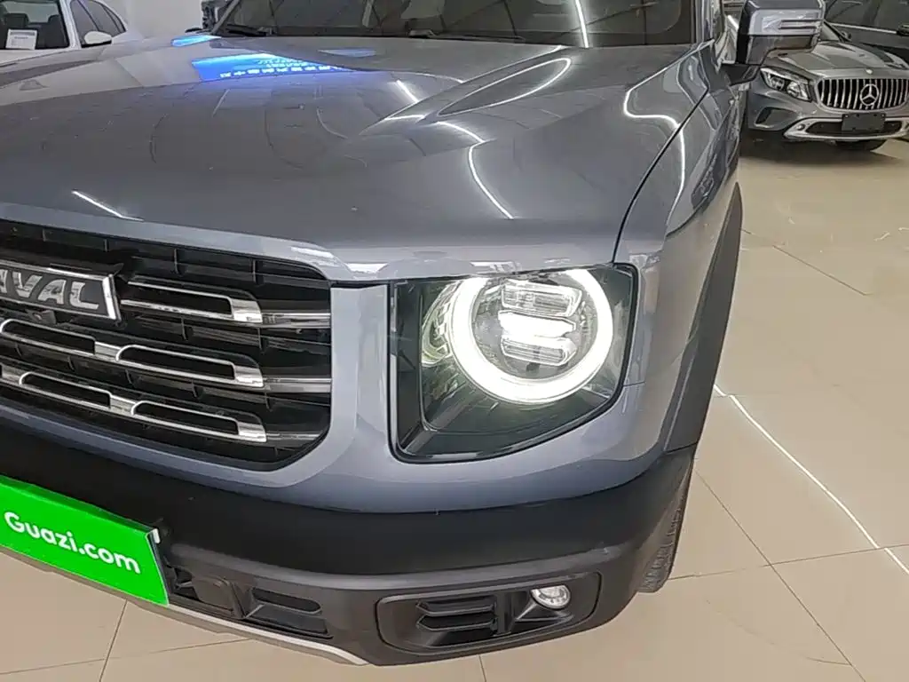 Haval Big Dog — миниатюра 24