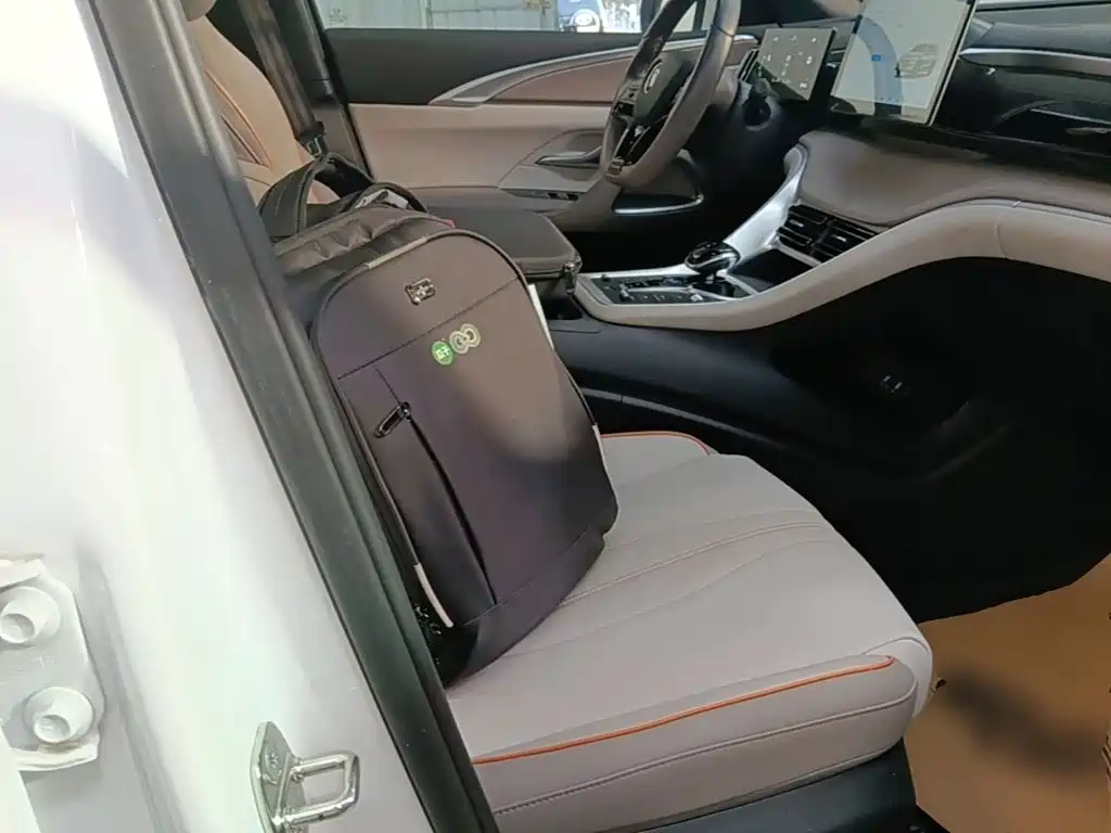 BYD Pro New Energy — миниатюра 25