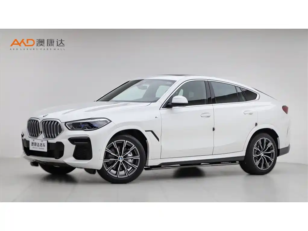 BMW X6 2023