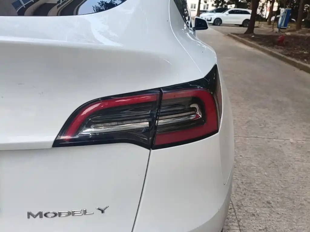 Tesla Model Y — миниатюра 24