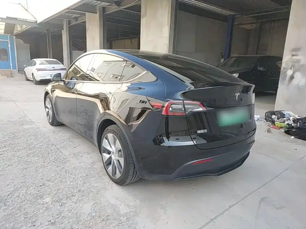 Tesla Model Y — миниатюра 5