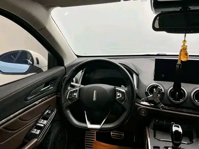 WEI PAI WEI BRAND VV5