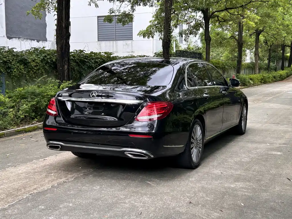 Mercedes-Benz E-Class E 2020 E 300 L Luxury