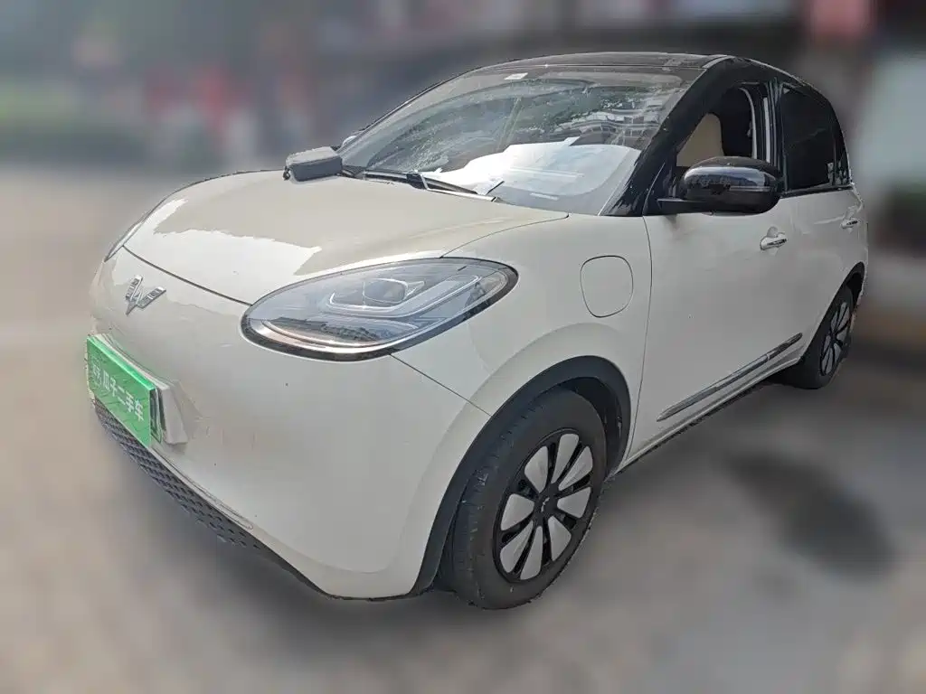 Wuling Bingo