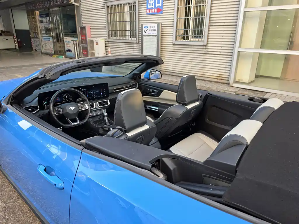 Ford Mustang — миниатюра 13