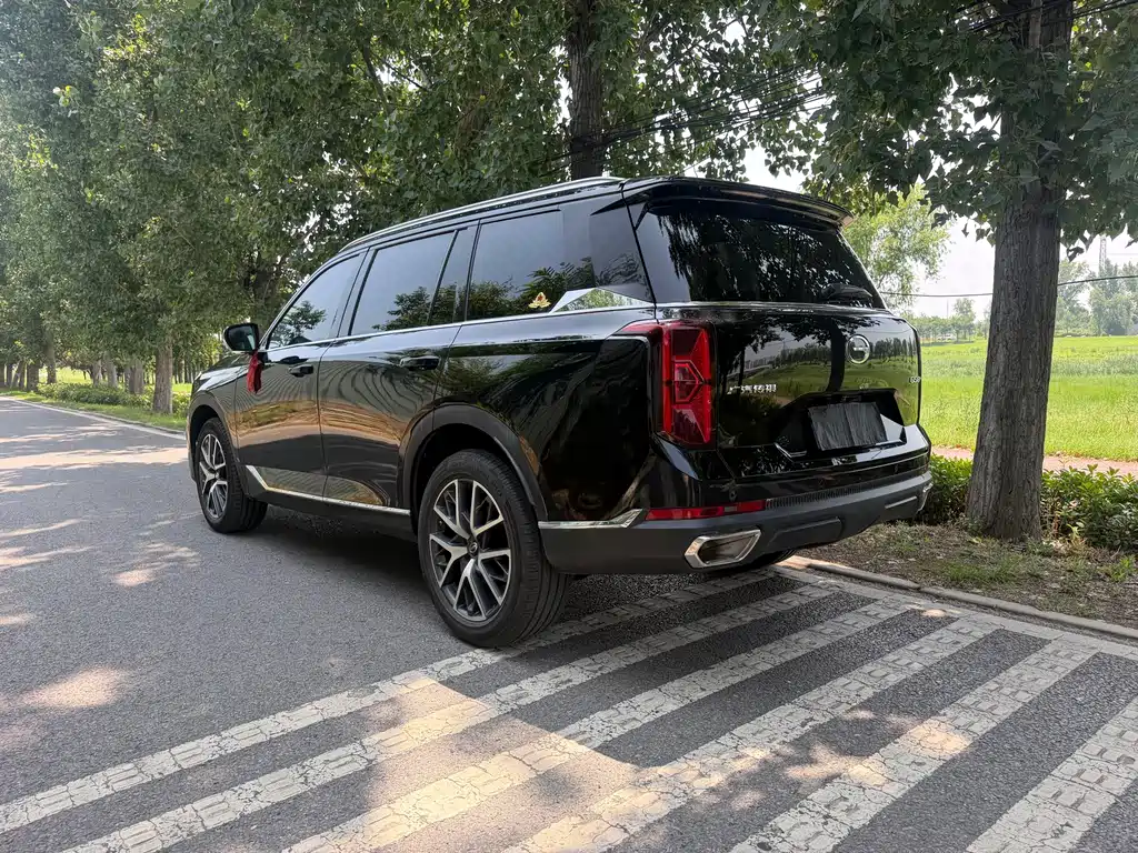 GAC GS8 2025 2.0TGDI Luxury 5 мест