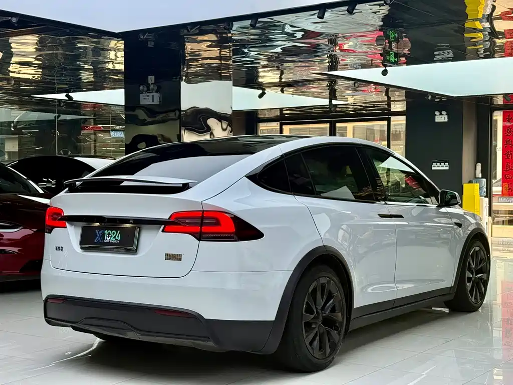 Tesla Model X — миниатюра 15