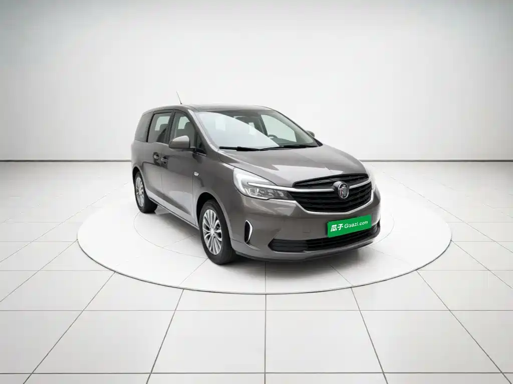 Buick GL8 — миниатюра 3