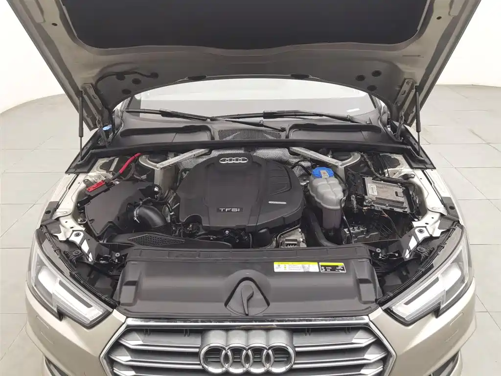 Audi A4L 2019 40 TFSI Fashion V