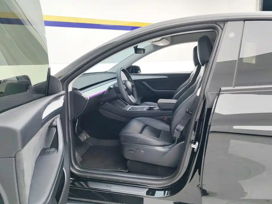 Tesla Model Y — миниатюра 9