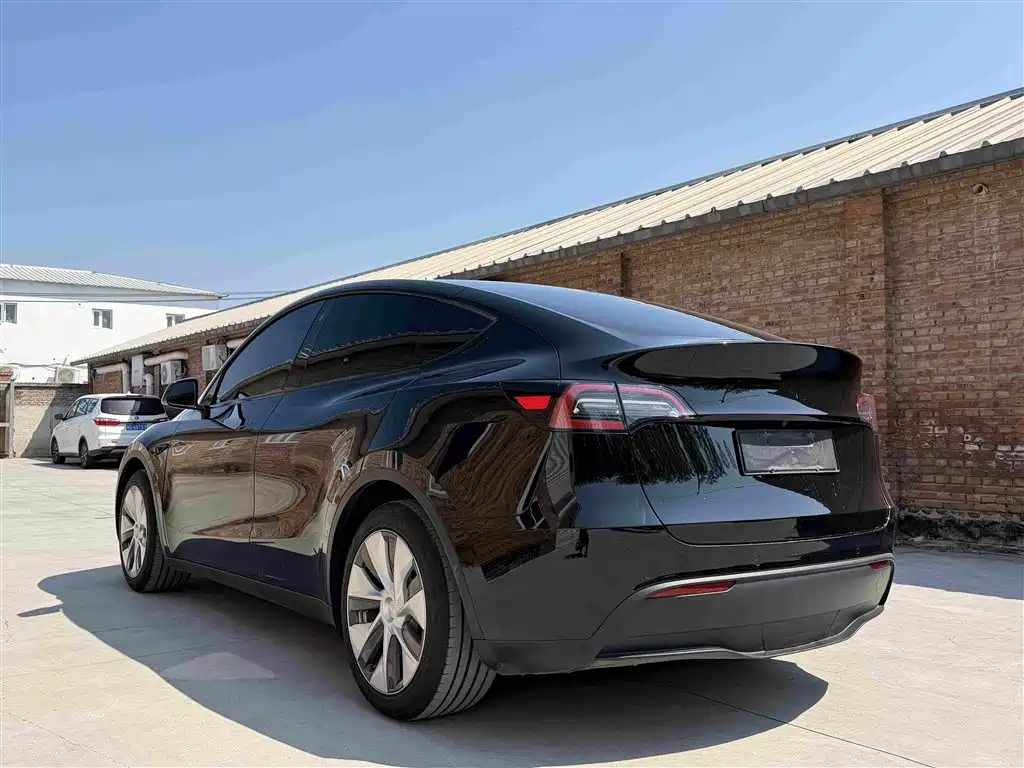 Tesla Model Y — миниатюра 20