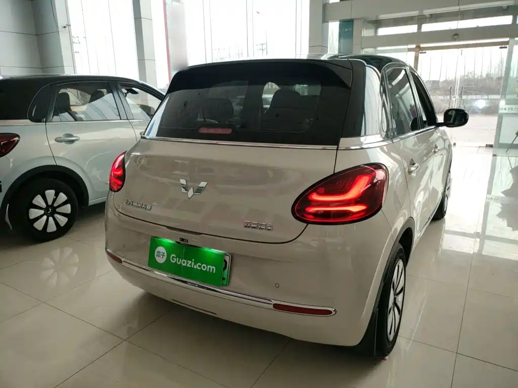 Wuling Binguo 2023 333km Enjoy