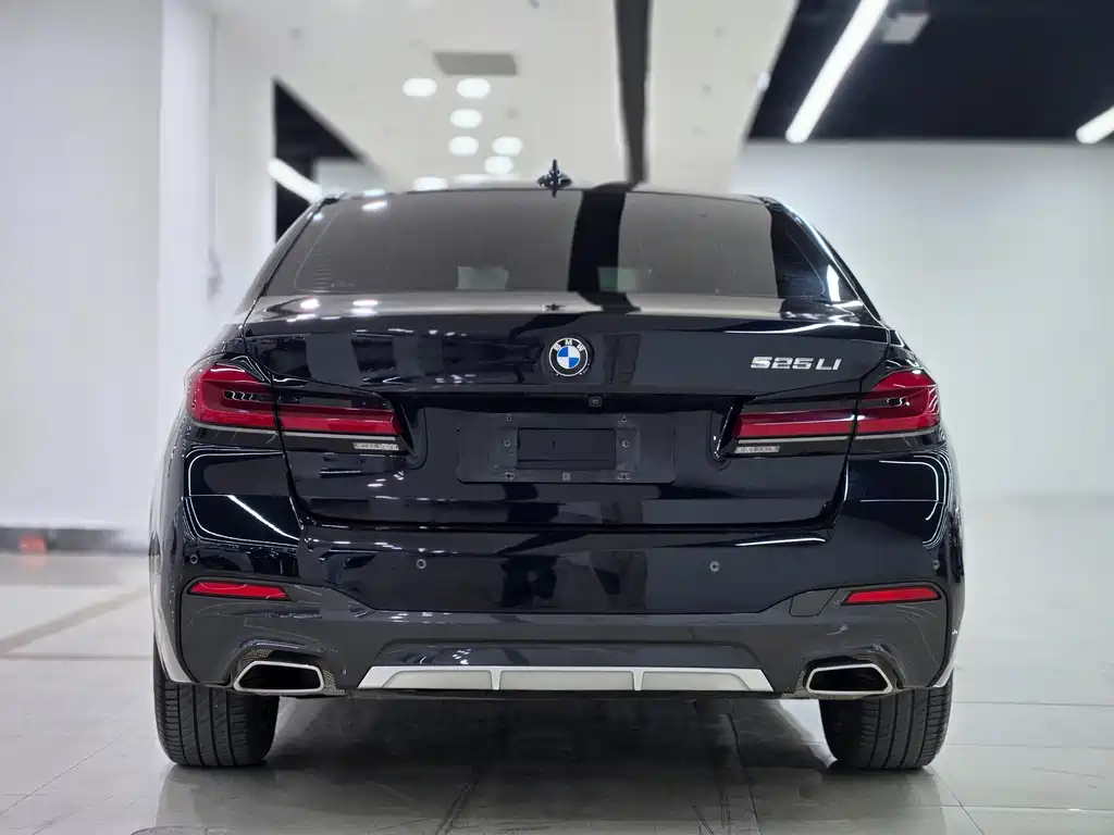 BMW 5 Series — миниатюра 4