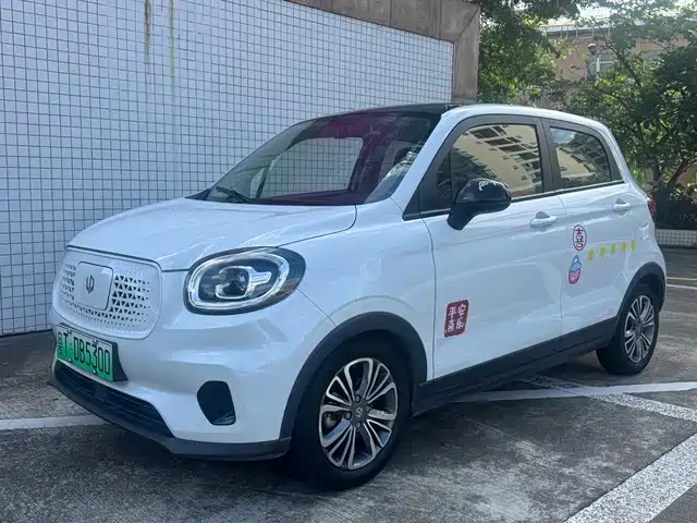 2020 Leapmotor T03