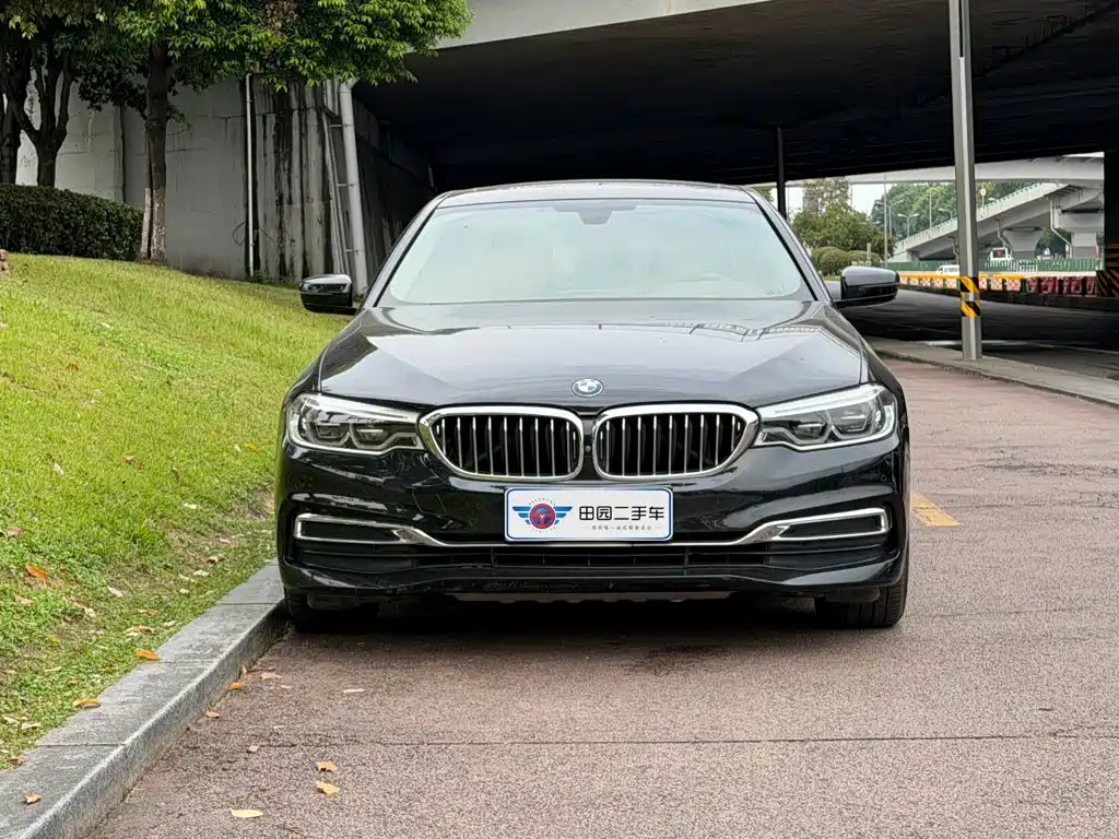 BMW 5 Series 5 2020 530Li Premium Luxury