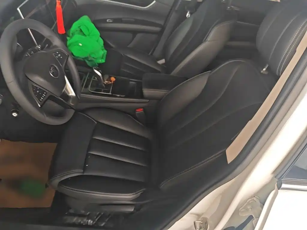 BYD MAX — миниатюра 15