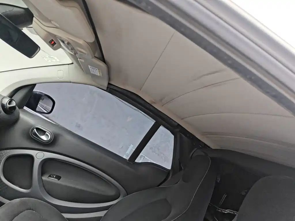 smart Smart Fortwo — миниатюра 18