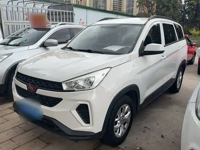 2018 Wuling Motors Hongguang