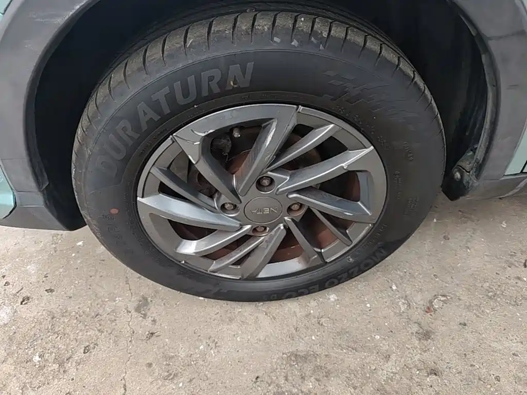 Neta Neta V — миниатюра 23