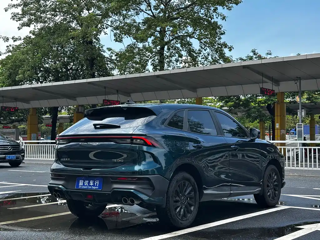 Fengxing Fengxing T5 EVO — миниатюра 6