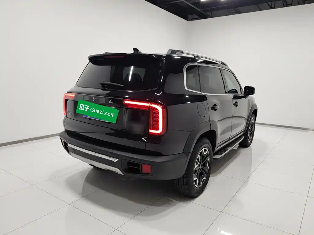Haval 长城大狗 — миниатюра 4