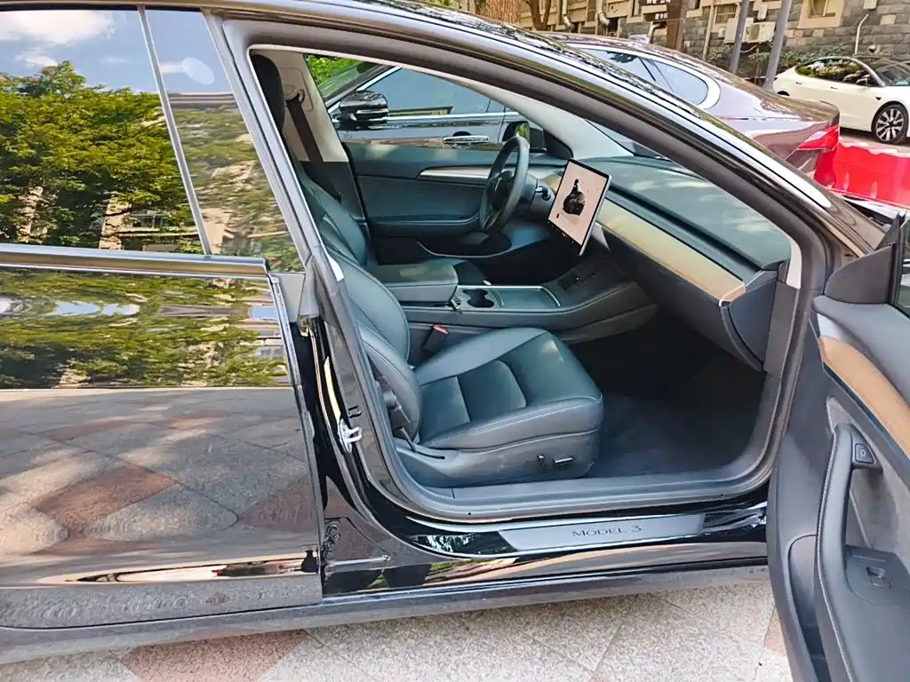 Tesla Model 3 — миниатюра 19