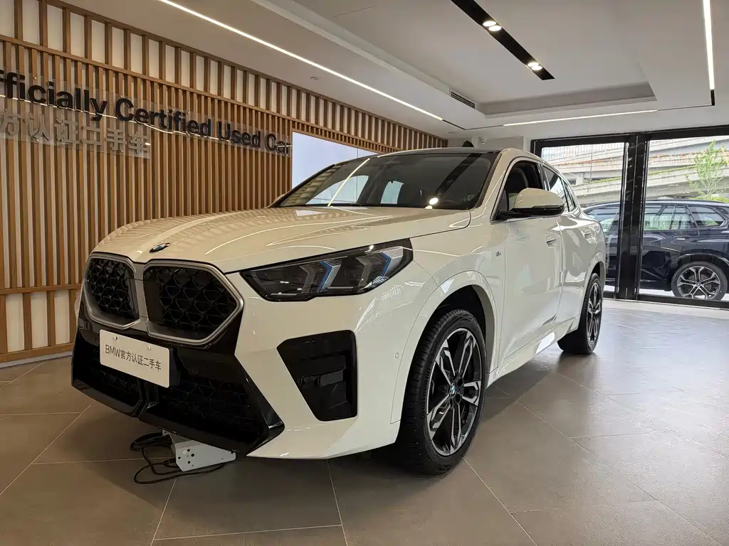 Купить BMW X2 (Import)