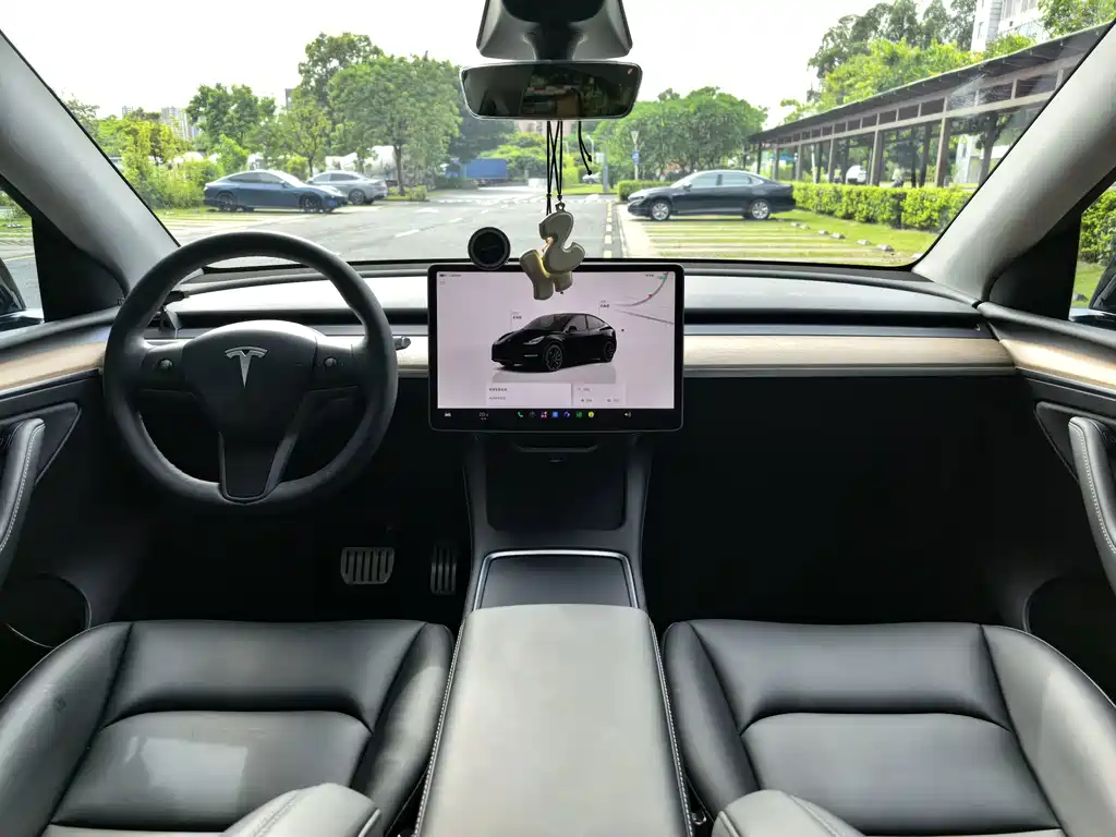 Tesla Model Y 2022 Performance