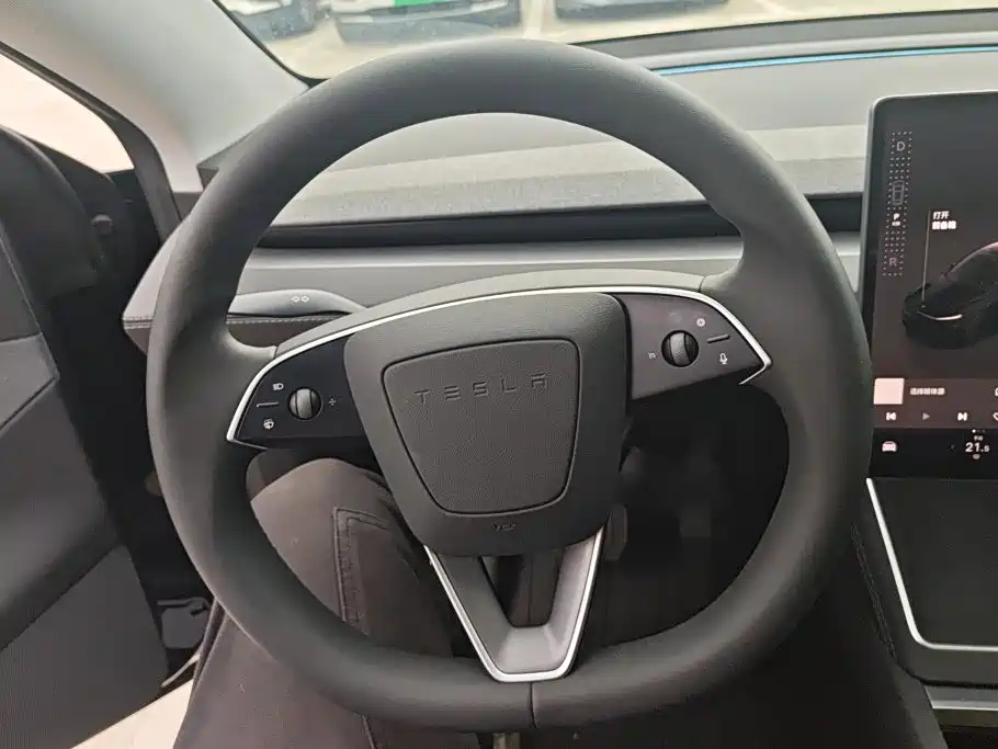 Tesla Model Y — миниатюра 15