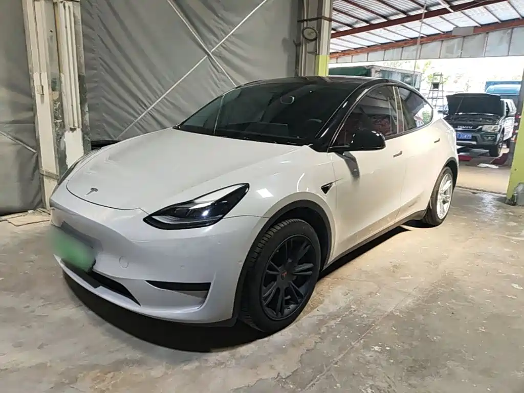 Tesla Model Y — миниатюра 2