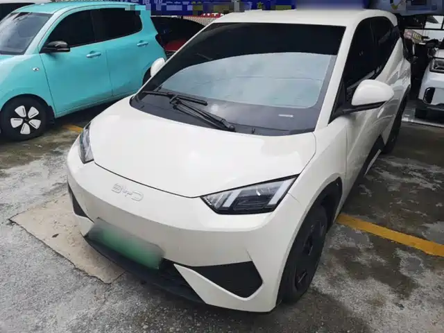 2025 BYD Seagull