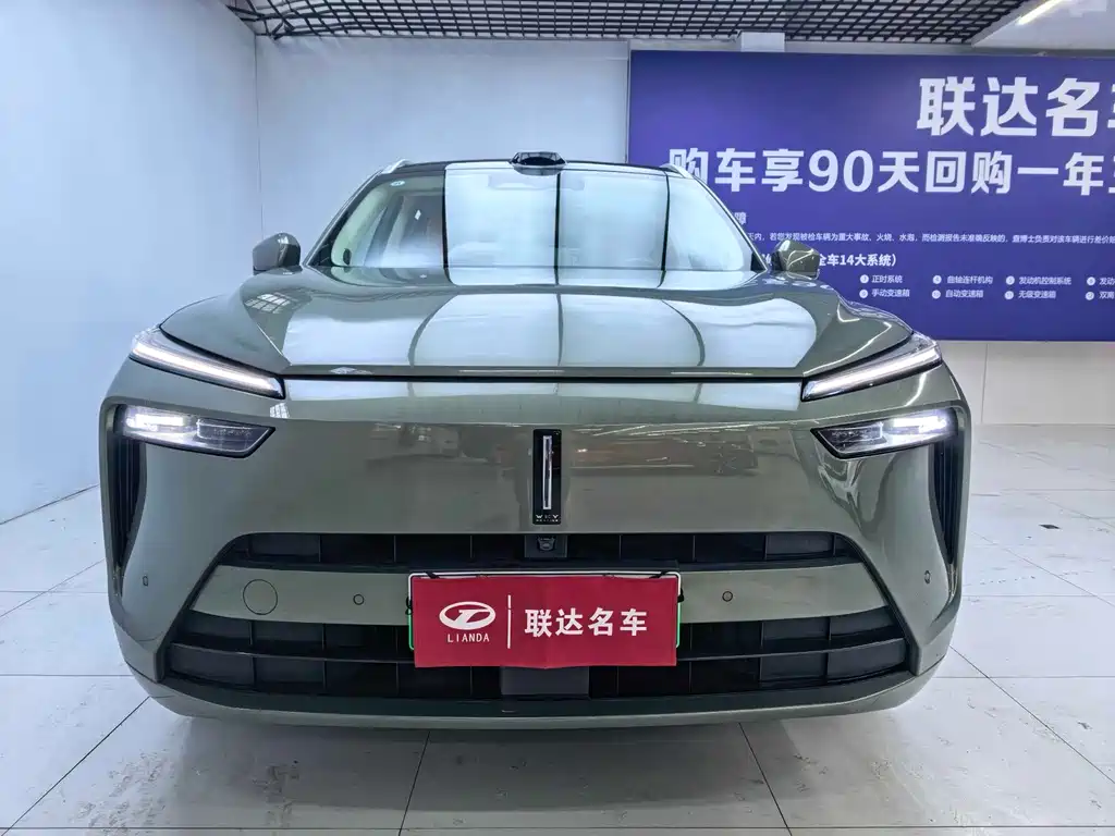 WEI PAI WEI BRAND BLUE MOUNTAIN