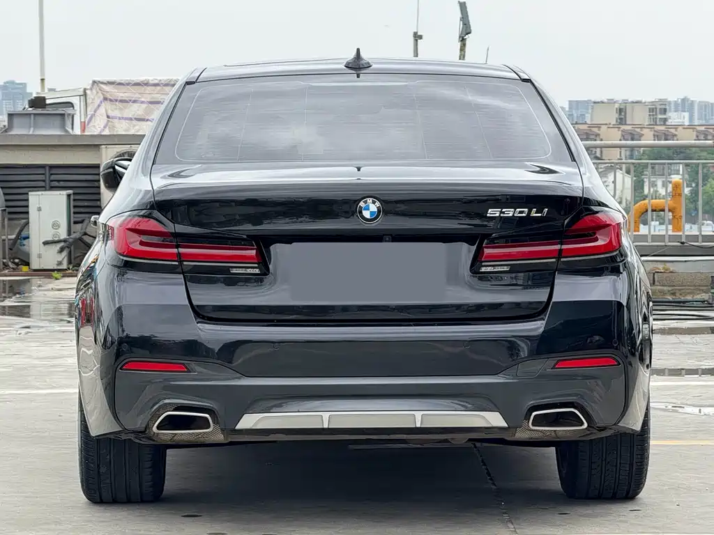 BMW 5 Series — миниатюра 4