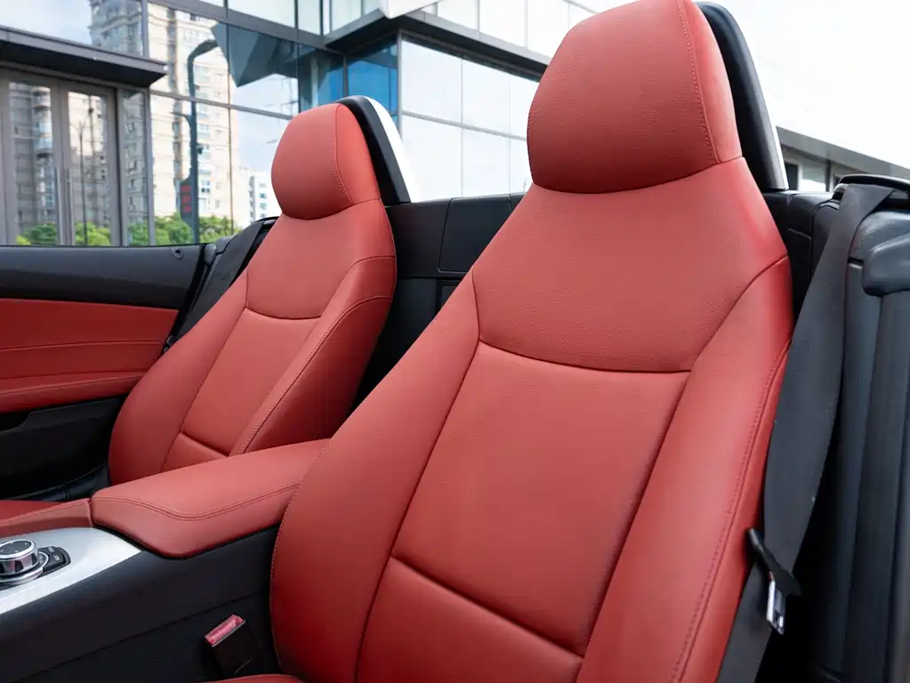 BMW Z4 2009 sDrive23i Lead
