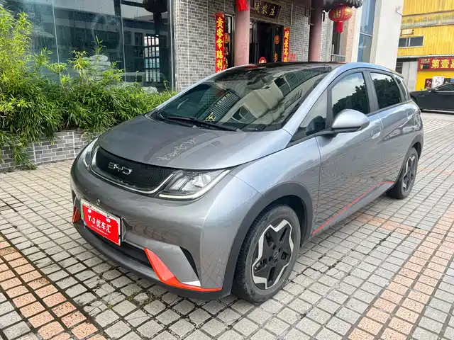 2022 BYD Dolphin