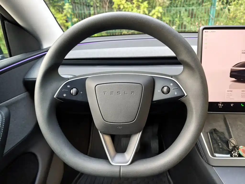 Tesla Model Y — миниатюра 11