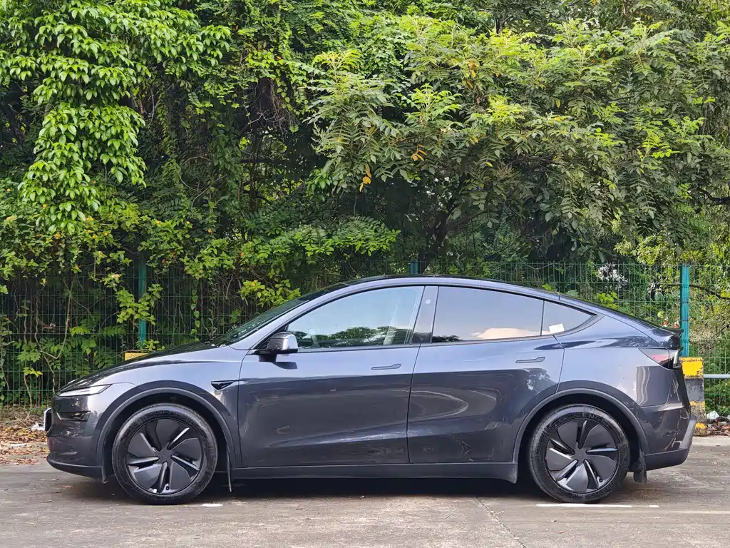 Tesla Model Y — миниатюра 3