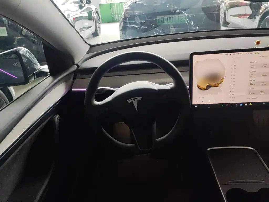 Tesla Model Y — миниатюра 11