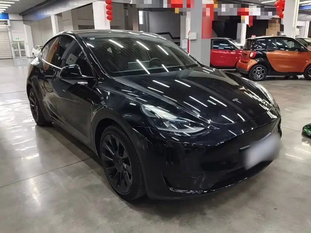 Tesla Model Y — миниатюра 4