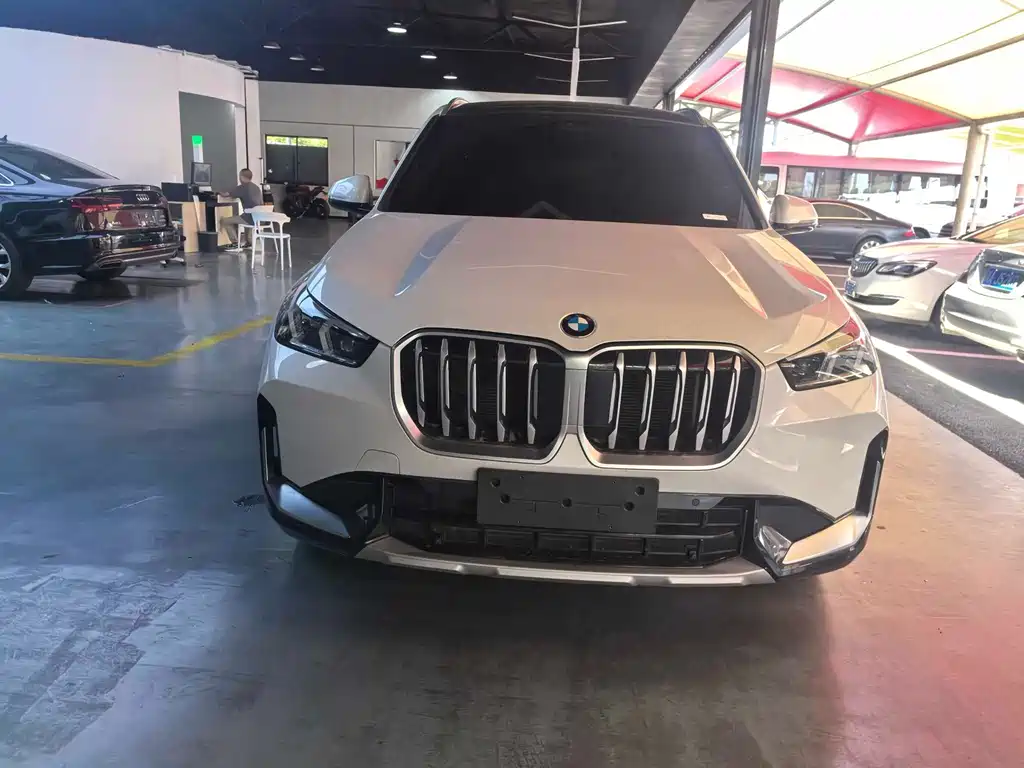 BMW X1 — миниатюра 2