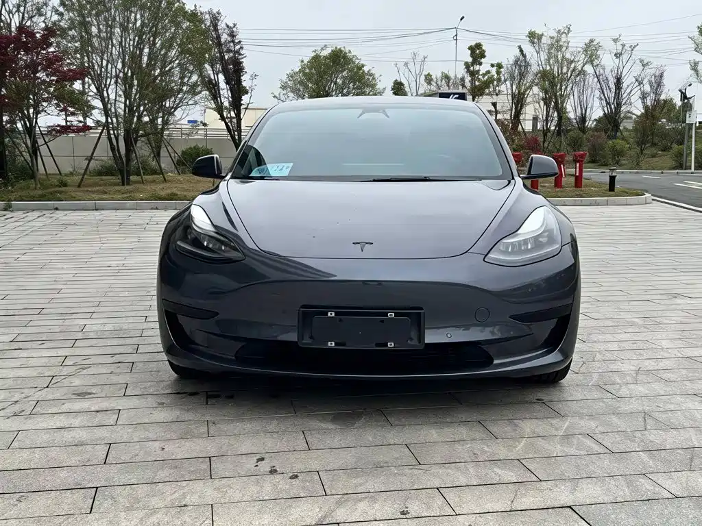 Tesla Model 3 — миниатюра 3