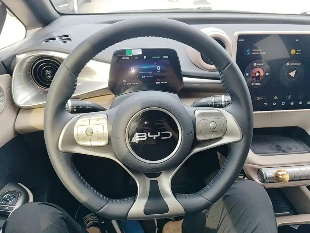 BYD Dolphin — миниатюра 11