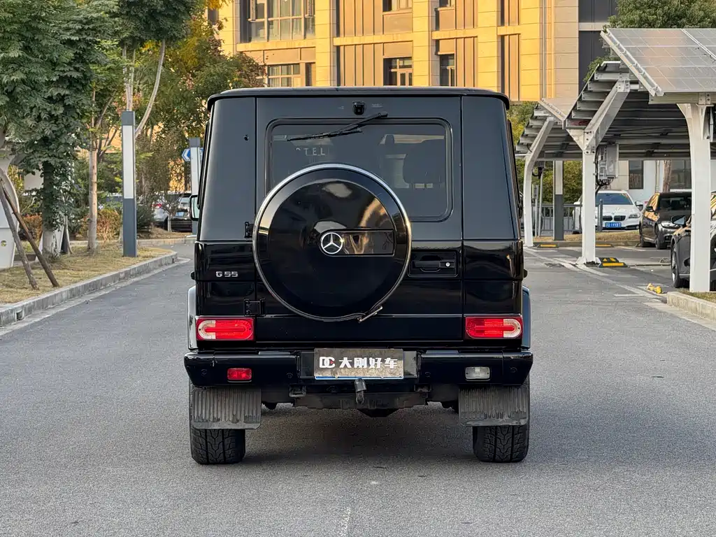 Mercedes-Benz G-Class G 2010 G 500