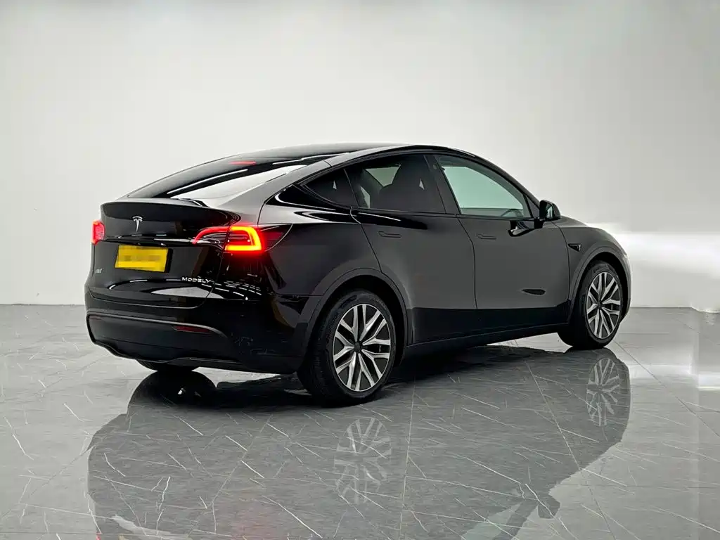 Tesla Model Y — миниатюра 6