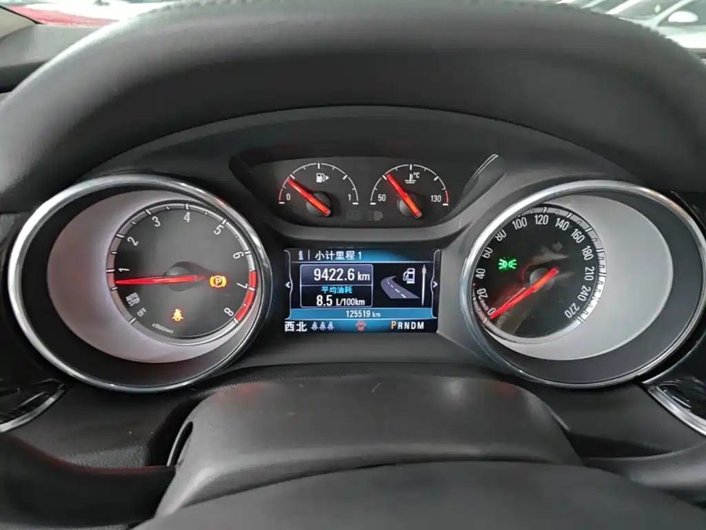 Buick Regal — миниатюра 12